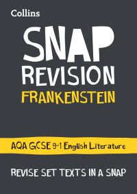 Book Cover for Frankenstein by Rachel Grant