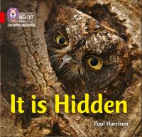 Book Cover for It Is Hidden by Paul Harrison