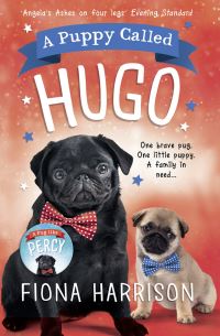 Book Cover for A Puppy Called Hugo by Fiona Harrison