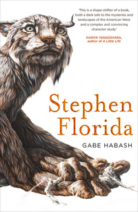 Book Cover for Stephen Florida by Gabe Habash