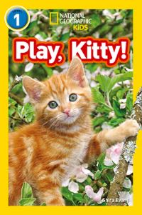 Book Cover for Play, Kitty! by Shira Evans