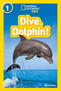 Book Cover for Dive, Dolphin! by Shira Evans