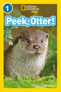 Book Cover for Peek, Otter! by Shira Evans