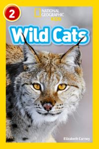 Book Cover for Wild Cats by Elizabeth Carney