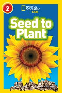 Book Cover for Seed to Plant by Kristin Baird Rattini