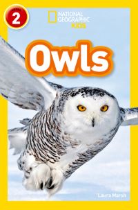 Book Cover for Owls by Laura F. Marsh