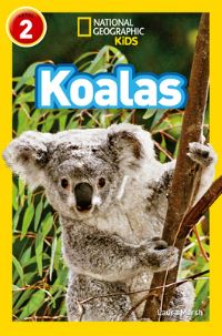 Book Cover for Koalas by Laura F Marsh