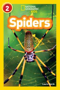 Book Cover for Spiders by Laura Marsh