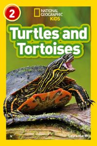 Book Cover for Turtles by Laura F Marsh