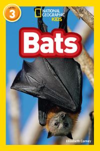 Book Cover for Bats by Elizabeth Carney