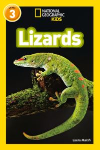 Book Cover for Lizards by Laura F Marsh