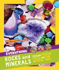 Book Cover for Everything Rocks and Minerals by Steve Tomecek