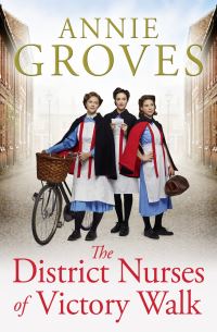 Book Cover for The District Nurses of Victory Walk by Annie Groves