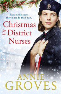 Book Cover for Christmas for the District Nurses by Annie Groves