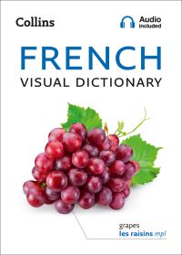 Book Cover for French Visual Dictionary by 