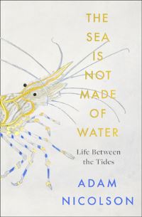Book Cover for The Sea Is Not Made of Water by Adam Nicolson