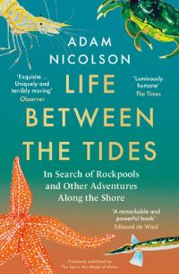 Book Cover for Life Between the Tides by Adam Nicolson