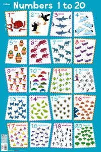 Book Cover for Numbers 1 - 20 by Collins Kids