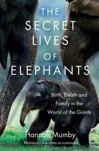 Book Cover for The Secret Lives of Elephants by Hannah Mumby