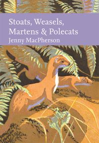 Book Cover for Stoats, Weasels, Martens & Polecats by Jenny MacPherson