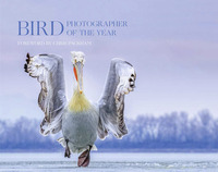 Book Cover for Bird Photographer of the Year. Collection 4 by Chris Packham, Robert Read, Paul Sterry