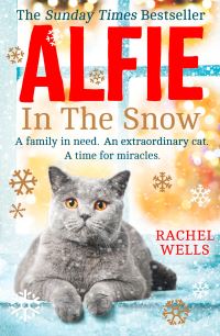 Book Cover for Alfie in the Snow by Rachel Wells
