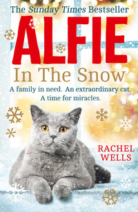 Book Cover for Alfie in the Snow by Rachel Wells
