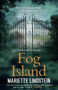 Book Cover for Fog Island by Mariette Lindstein