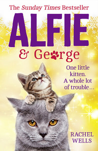 Book Cover for Alfie and George by Rachel Wells