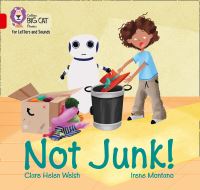 Book Cover for Not Junk! by Clare Helen Welsh
