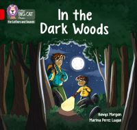 Book Cover for In the Dark Woods by Hawys Morgan