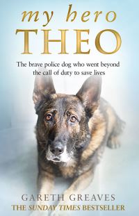 Book Cover for My Hero Theo by Gareth Greaves