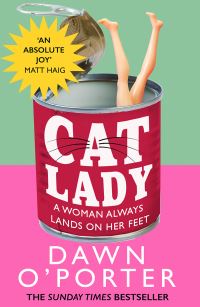 Book Cover for Cat Lady by Dawn O'Porter