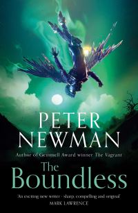 Book Cover for The Boundless by Peter Newman