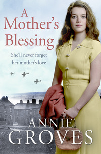 Book Cover for A Mother's Blessing by Annie Groves
