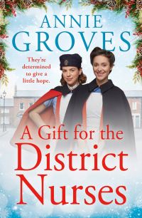Book Cover for A Gift for the District Nurses by Annie Groves