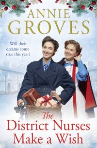 Book Cover for The District Nurses Make a Wish by Annie Groves