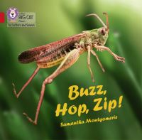 Book Cover for Buzz, Hop, Zip! by Samantha Montgomerie