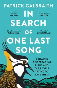 Book Cover for In Search of One Last Song by Patrick Galbraith