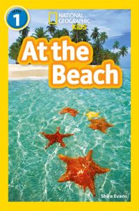 Book Cover for At the Beach by Shira Evans