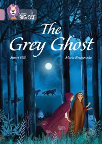 Book Cover for The Grey Ghost by Stuart Hill
