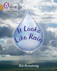 Book Cover for It Looks Like Rain by Zoe Armstrong