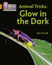 Book Cover for Glow in the Dark by Rob Alcraft