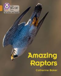 Book Cover for Amazing Raptors by Catherine Baker