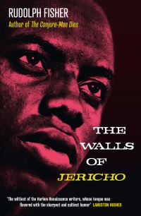 Book Cover for The Walls of Jericho by Rudolph Fisher