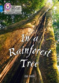 Book Cover for In a Rainforest Tree by Liz Miles