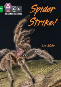 Book Cover for Spider Strike! by Liz Miles