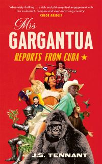 Book Cover for Mrs Gargantua by JS Tennant