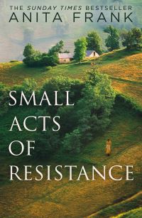 Book Cover for Small Acts of Resistance by Anita Frank