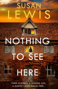 Book Cover for Nothing to See Here by Susan Lewis